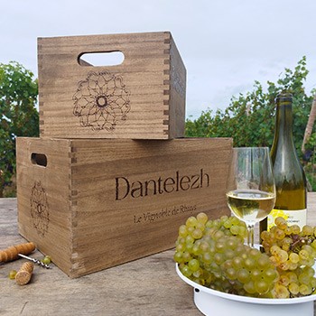 Nos vins