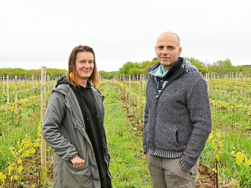 Le vin de Sarzeau à nouveau mis en bouteilles, après 70 ans