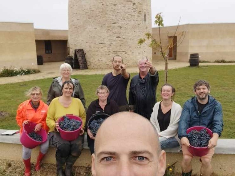 Vendanges 2025, sous le signe du soleil