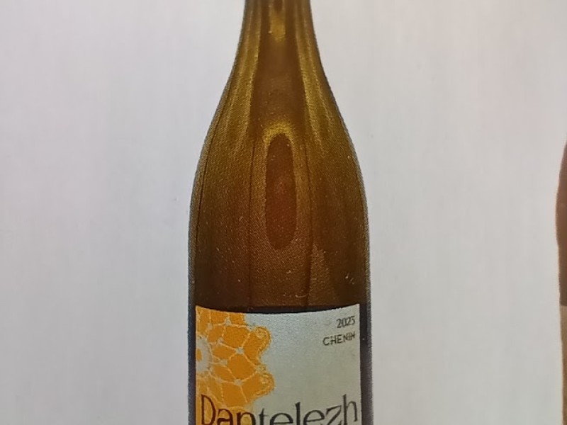 91/100 au Gault Millau -  Dantelezh Chenin 2023 