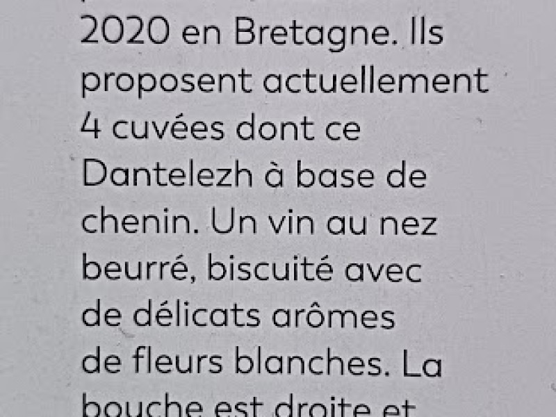 91/100 au Gault Millau -  Dantelezh Chenin 2023 